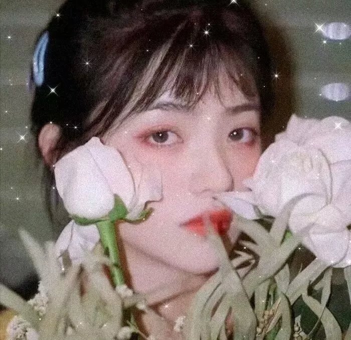 旱码头
